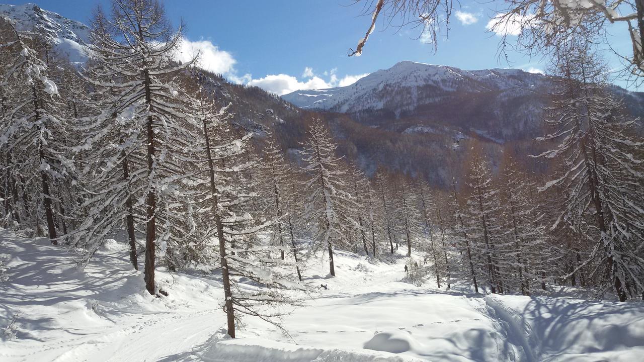 Hotel Punta Cian Valtournenche Esterno foto